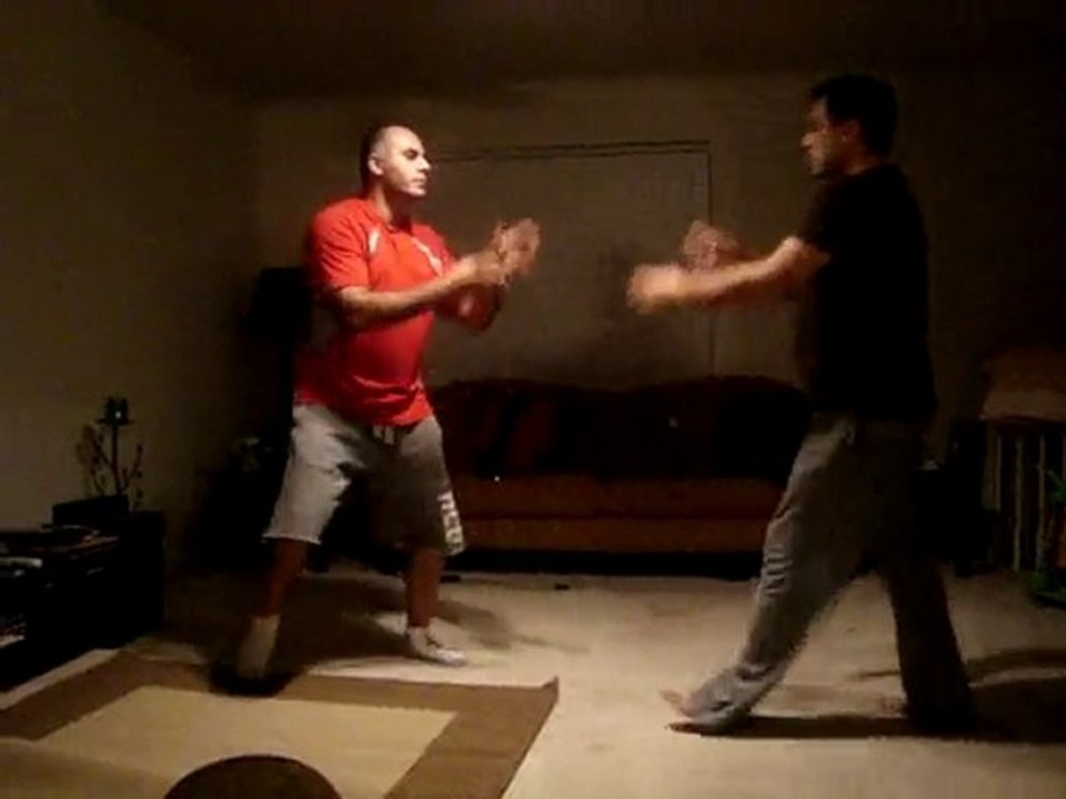 Wing chun ismail & cem attack1