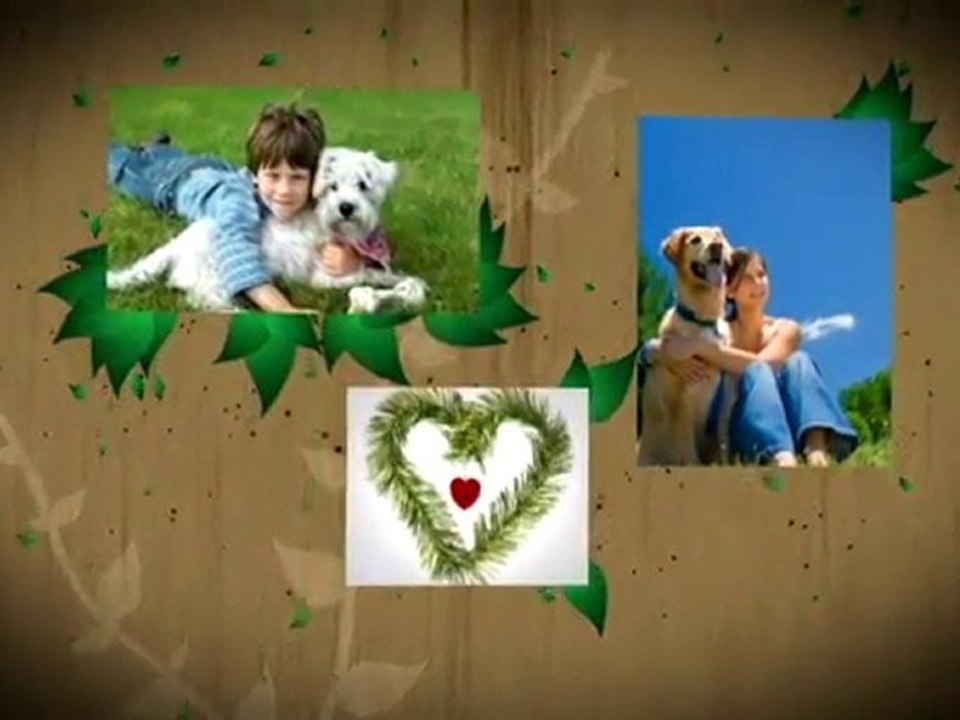 Spokane Dog Food Reviews