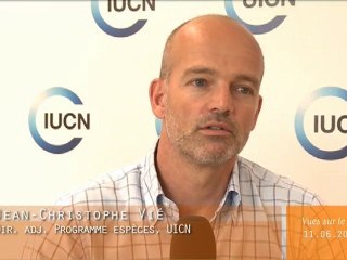 Vues sur le lac du 11 juin 2010