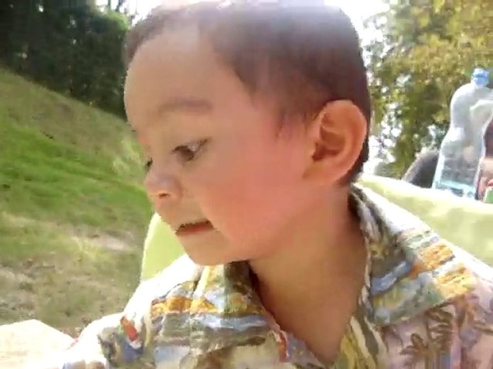 vacavideo-8
