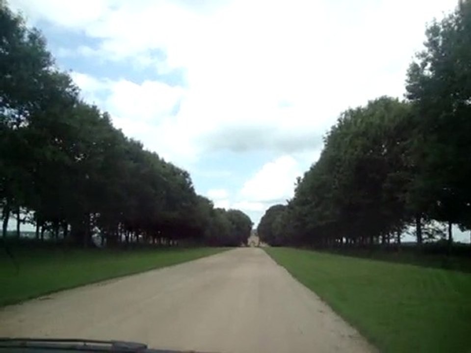 videovaca-10