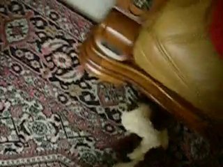 ALTO joue avec ETOILE