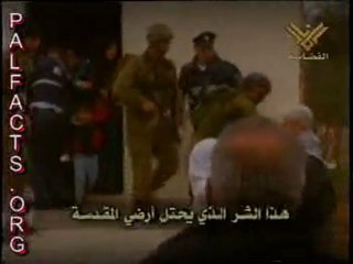 islam - holocaust of muslims live - palestine