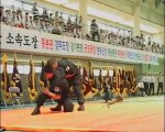Hapkido compétiton technique