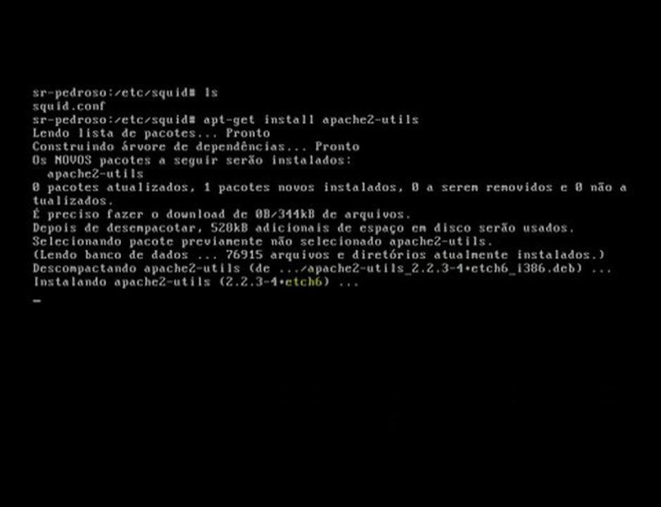 Parte 3/3 Proxy cache squid com autenticação sobre GNU/Linux