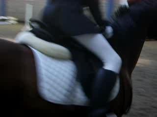 mathou et baron a l'etrier d'or