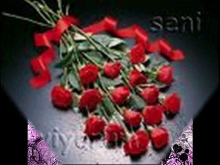 berke ve ahmetbirdaha sewersem allah beni kahretsin