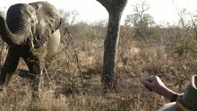 safari.tv diary - 16 August 2010