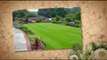 www.Lawn-Water-Conservation.info| greener grass with less w