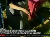 Incendios forestales calcinan centenares de hectáreas en Es