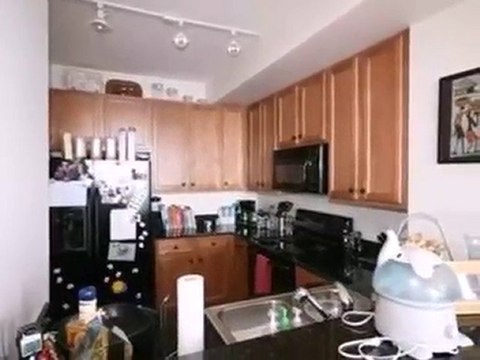 Homes for Sale - 1841 S Calumet Ave - Chicago, IL 60616 - Co