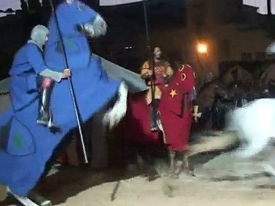 THEATRE DE VERDURE SPECTACLE EQUESTRE  La Garde 2010