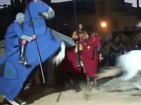 THEATRE DE VERDURE SPECTACLE EQUESTRE La Garde 2010