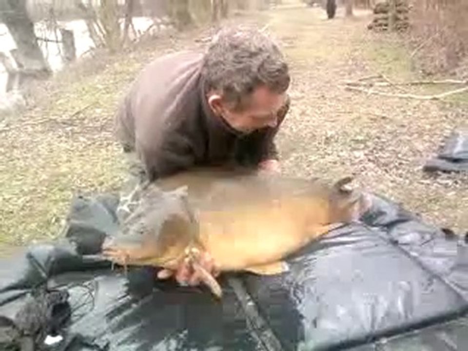 carpe miroir 21 kg Etangs Saint Jules.