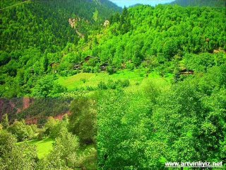 Resimlerle Artvin slayt  video-www.artvinliyiz.net