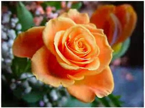 Abdullah Akbulak Nurlar Yağar {MUHSİN YAZICIOĞLU'NU SEVENLER}