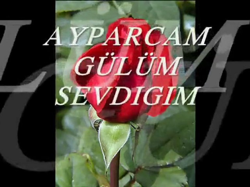 Feyzullah Koç Ay Parçam {MUHSİN YAZICIOĞLU'NU SEVENLER}