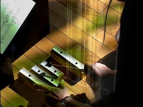 Echos, Jeux et Reflets : Une Esquisse