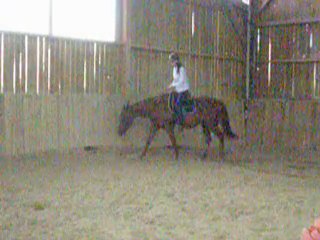 Essai selle au trot