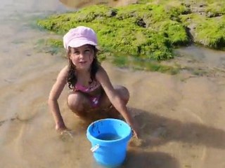 6 août 2010 - A la plage (5)