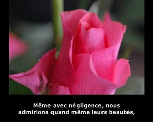 Recueil de Poèmes de Thomas André (Partie I)