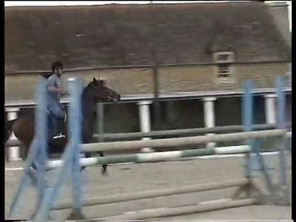 FrankDressageGamin1998