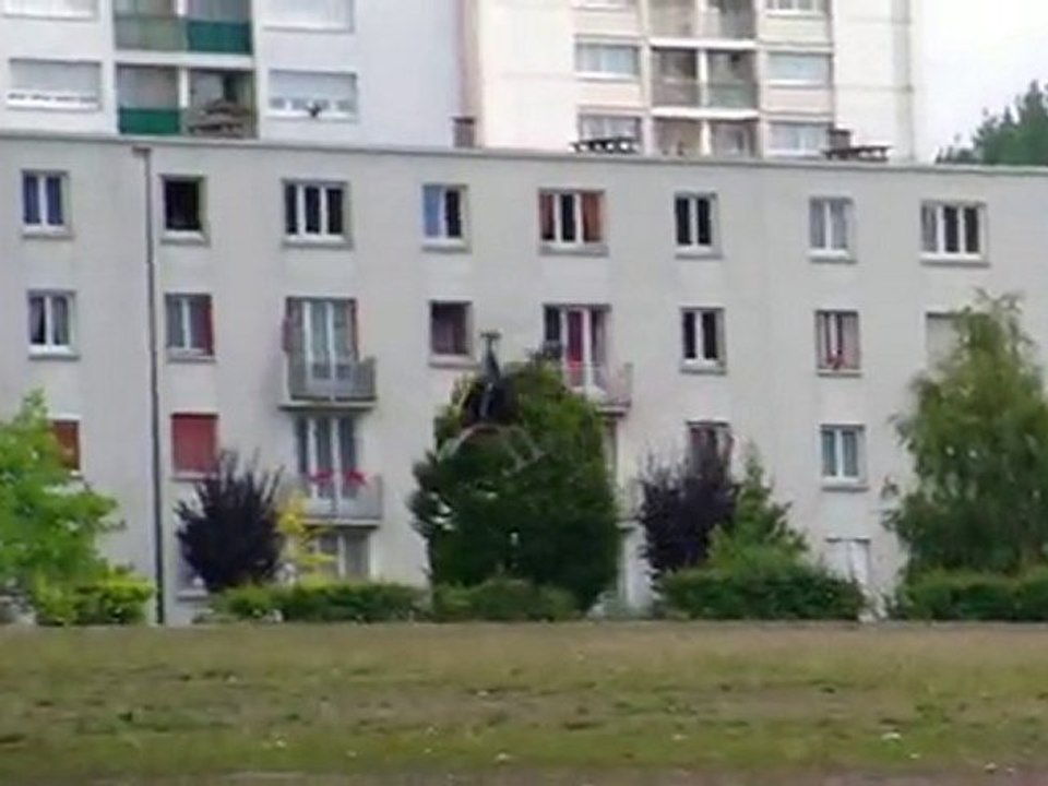 Vol du 13/08/2010: T-Rex 450 SE V2 flybarless