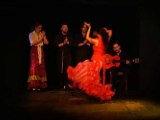 Bulerias - Flamenco show in Valencia