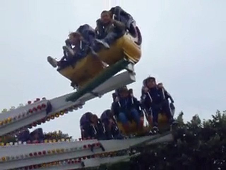 sauterelle jaridn aout 2010