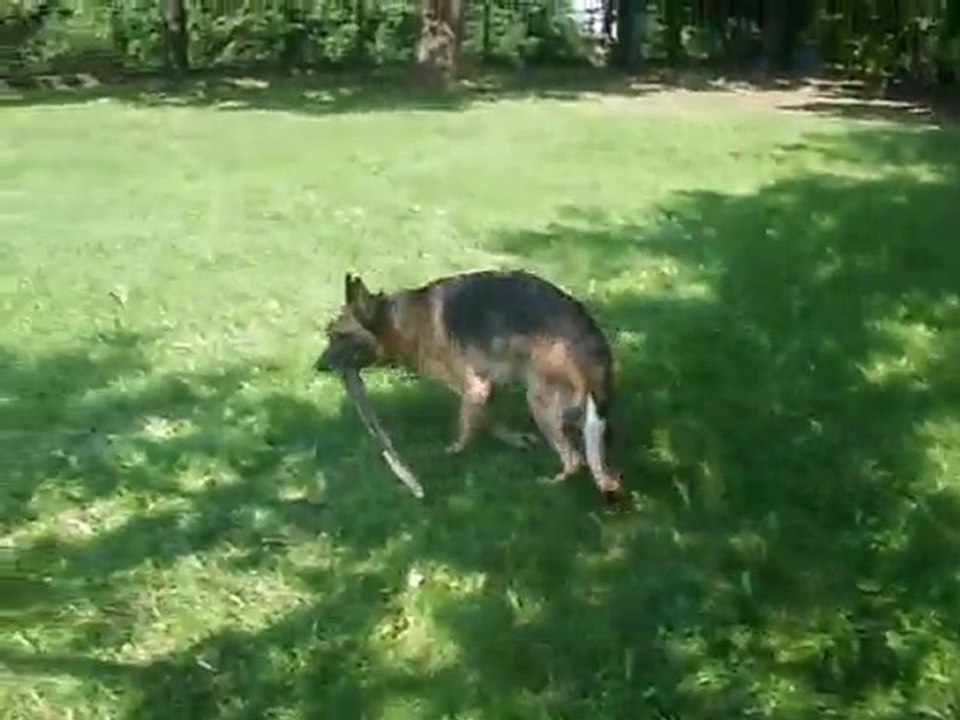 ANKA CHODZI W KOLO 2