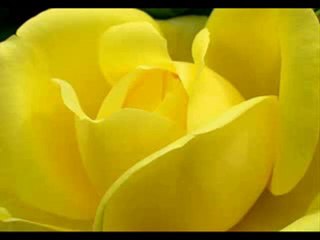 Rafet El Roman - Unut Onu