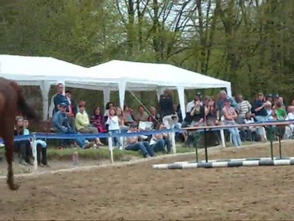 porte ouverte des ecuries des tileuls  .