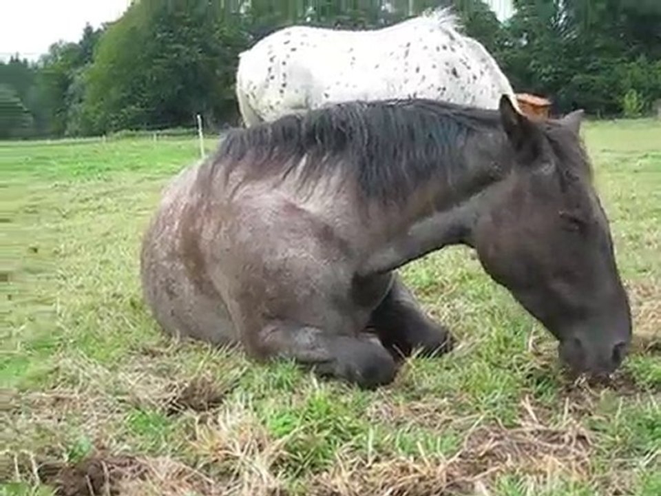 On fait la sieste !