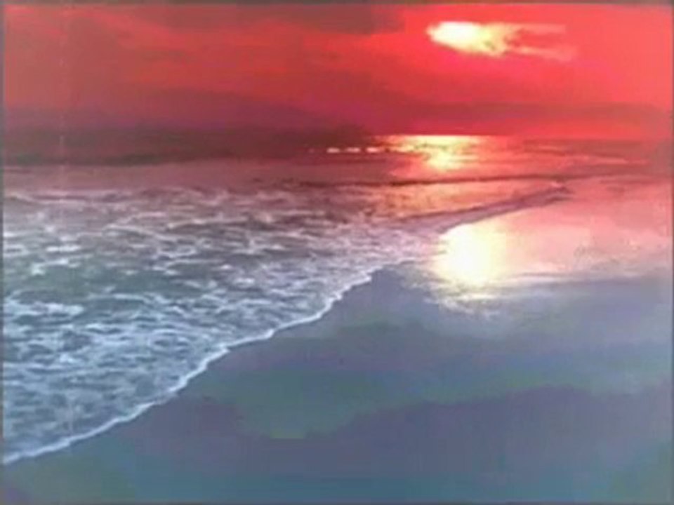 hasret gültekin sevgi kuşun kanadında