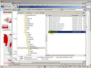 DotNetNuke Tutorial, Exploring the Text Skin Object