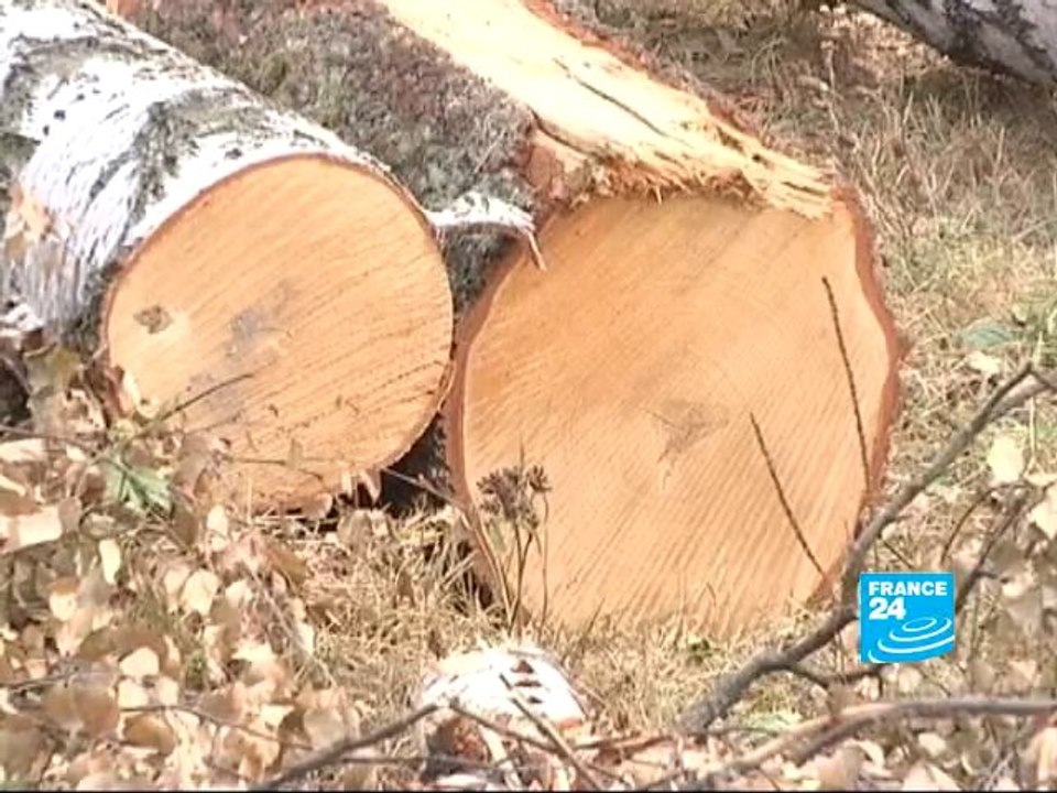 Putin accused of corruption and mismanagement of the ...