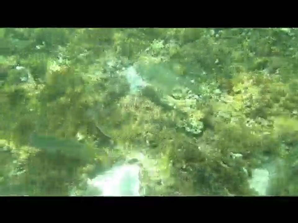 petite terre (guadeloupe)