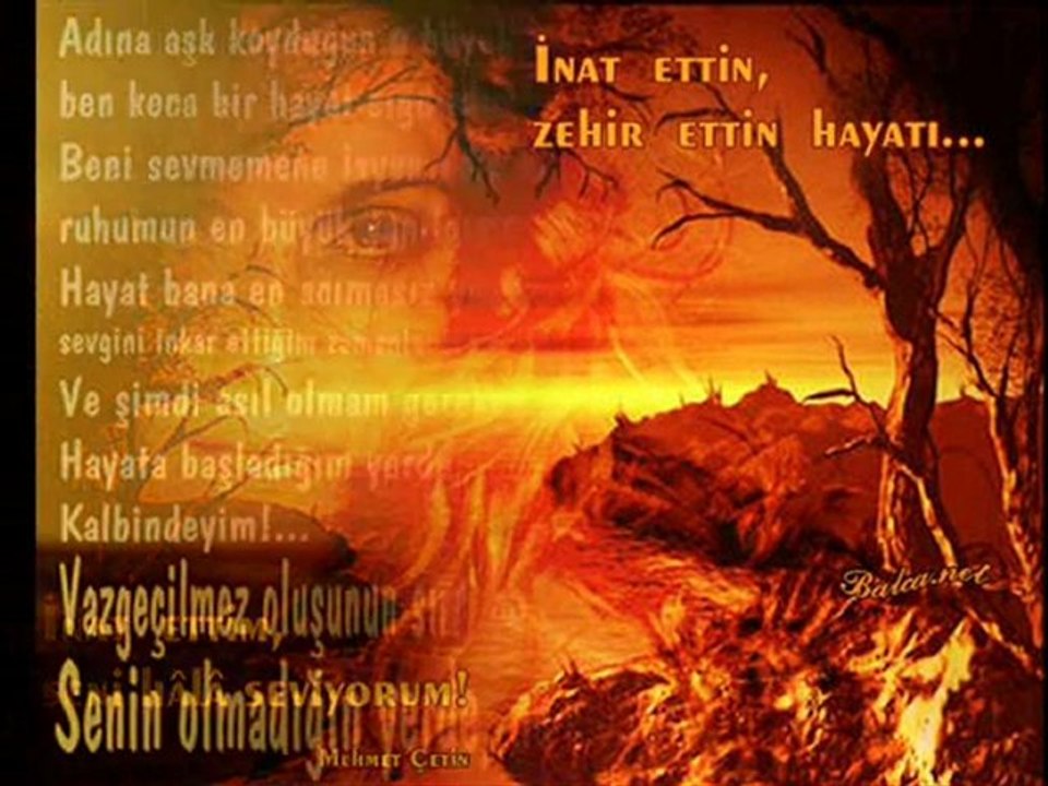 ali tekintüre den  damar