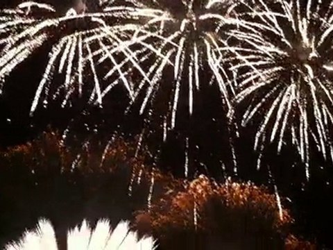 Feu d'artifice Sainte Marie la Mer le 16 Août 2010