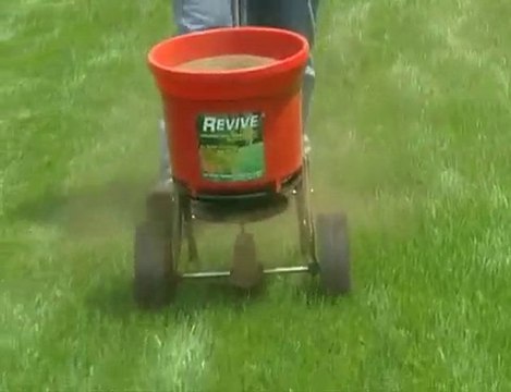 Watering-Your-Lawn.info| Soil compaction in turf | lawn