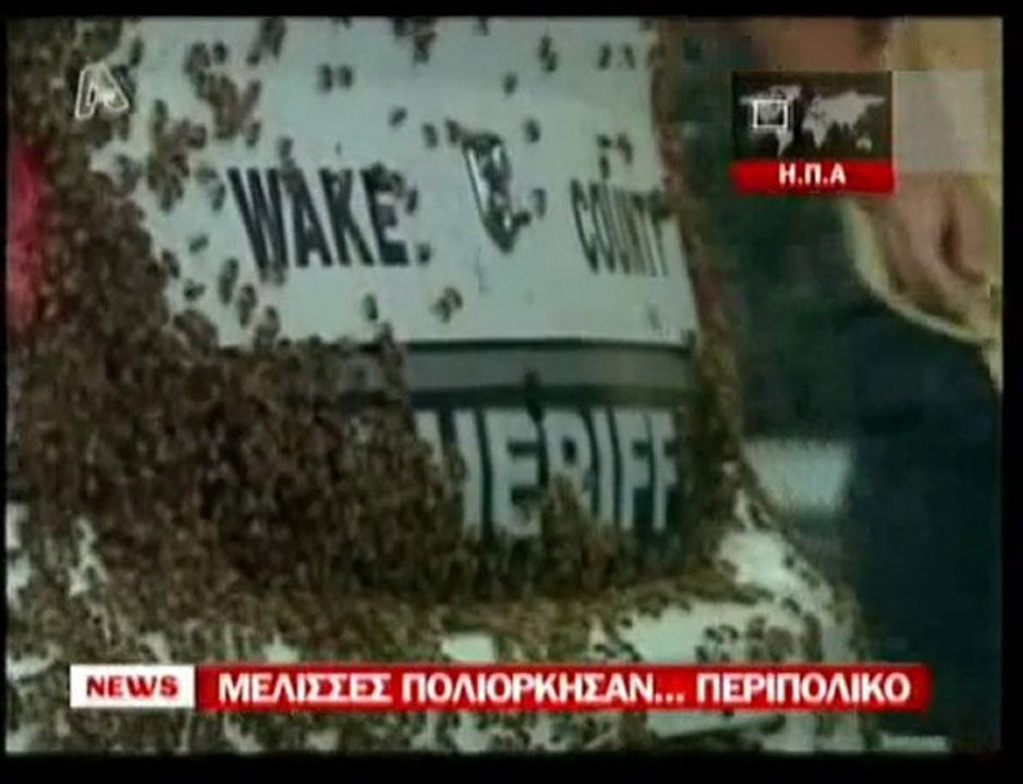 pagritianews.gr- Μέλισσες πολιόρκησαν περιπολικό