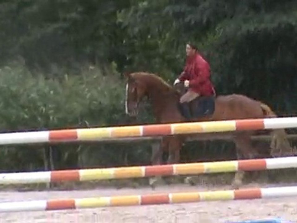 Quosire d'alsace 2