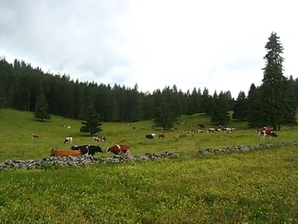 Frontière franco-suisse