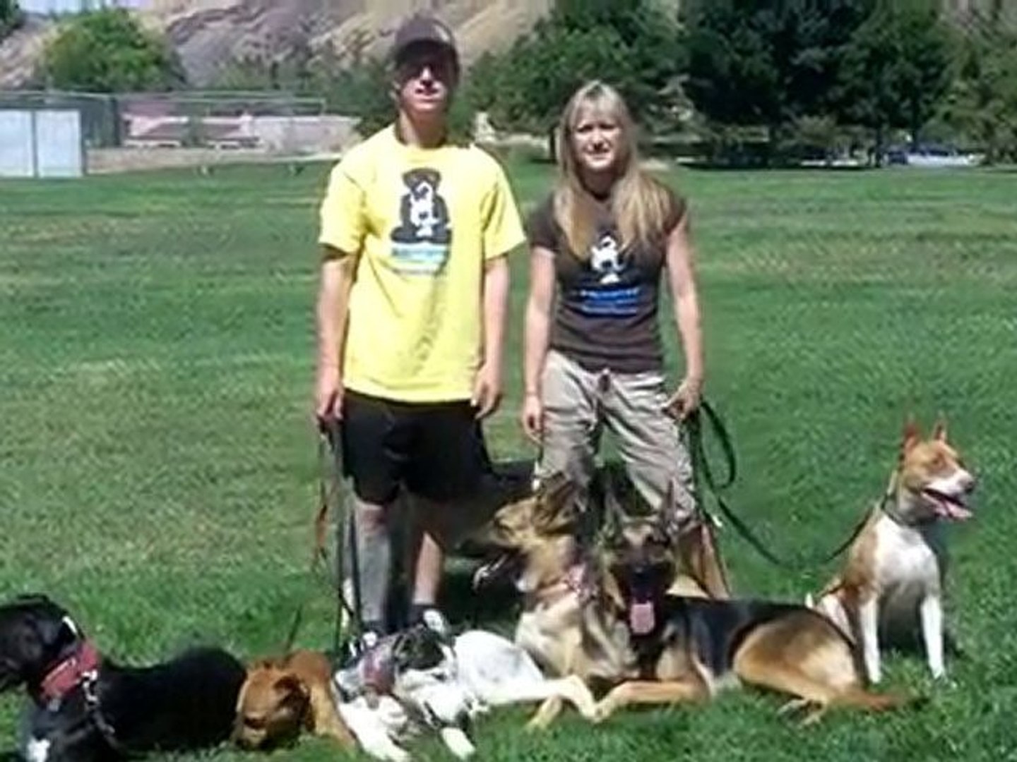 Redlands Dog Trainer, Dog Training Redlands, Dog Sitting Re