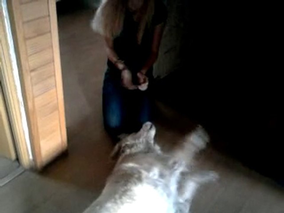 AnaÏshka se pete une barre x)  by A&A