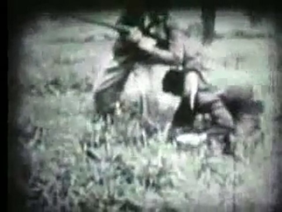 aikido aikikai annaba أيكيدو أيكيكاي عنابة