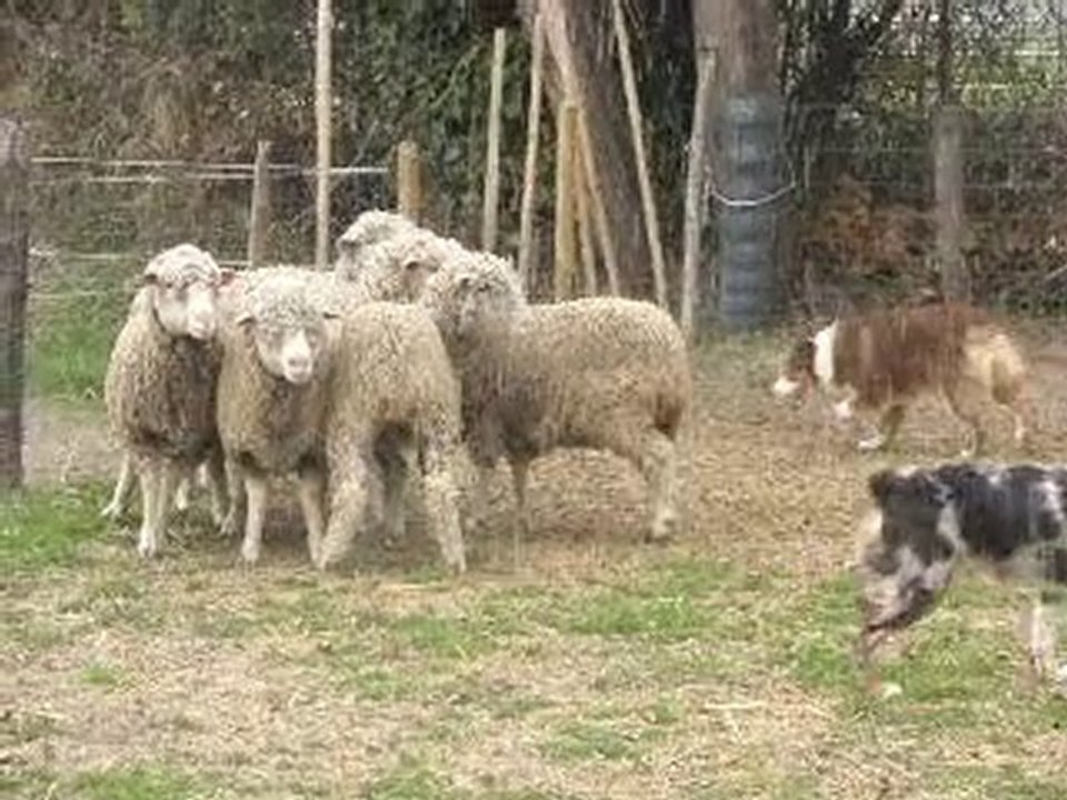 elix&eclyps1abaust 07.03.10