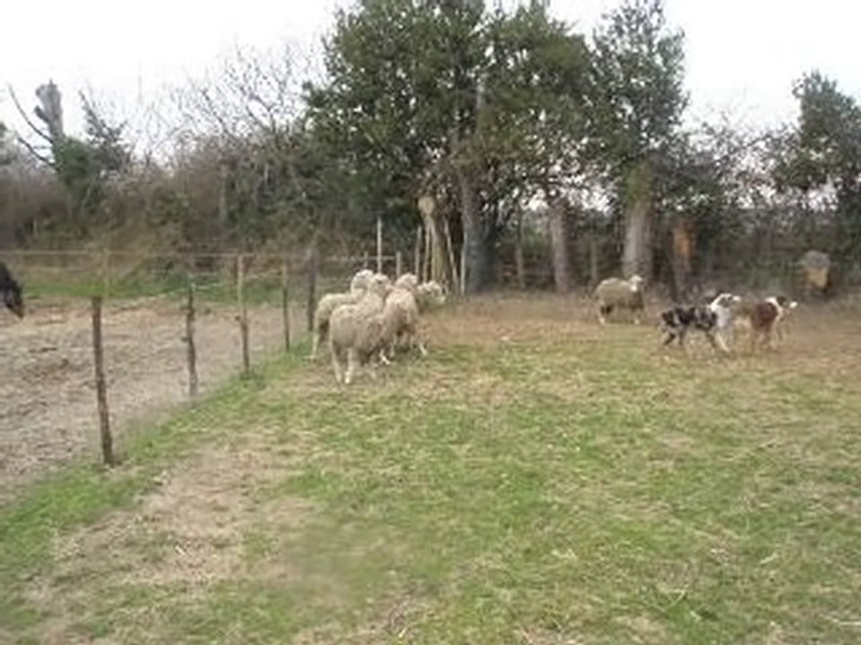 elix&eclyps2abaust 07.03.10