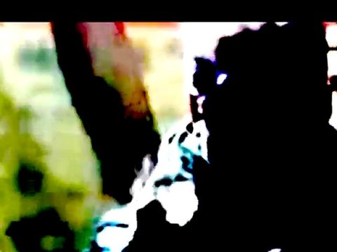 4 ŞUBAT GENEL DiRENiŞ-TEKEL 2010 / GÖZEL RADYO