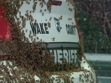 Un policier américain surpris par des abeilles